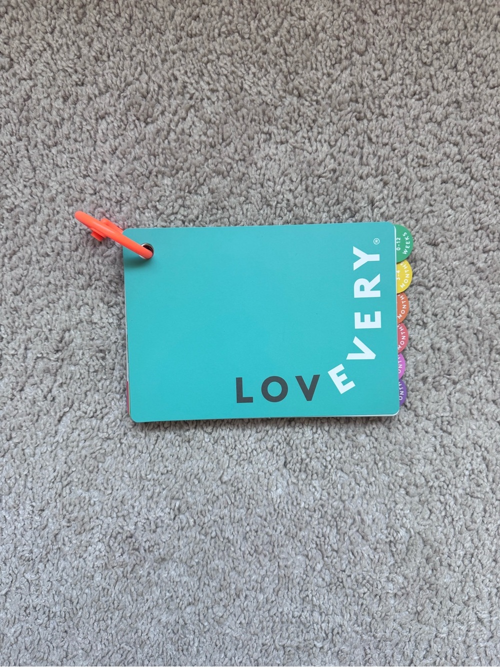 Lovevery Play Gym Activity Guide